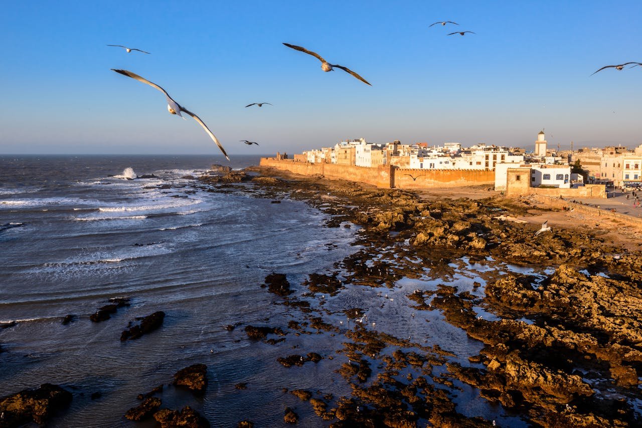 A stunning aerial capture of Essaouira, Moroccos rocky coastline and seagulls in flight during daytime.