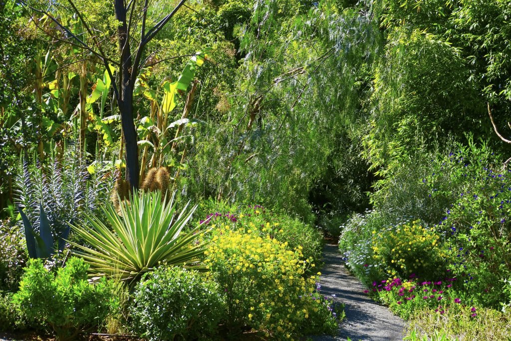 0012 img 3252 1024x683