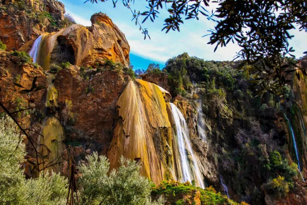 imouzzer 003 1 1024x683