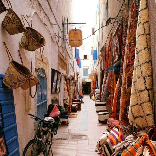 12042874 968493619858632 7412879277746233072 n 900x900 1.jpg